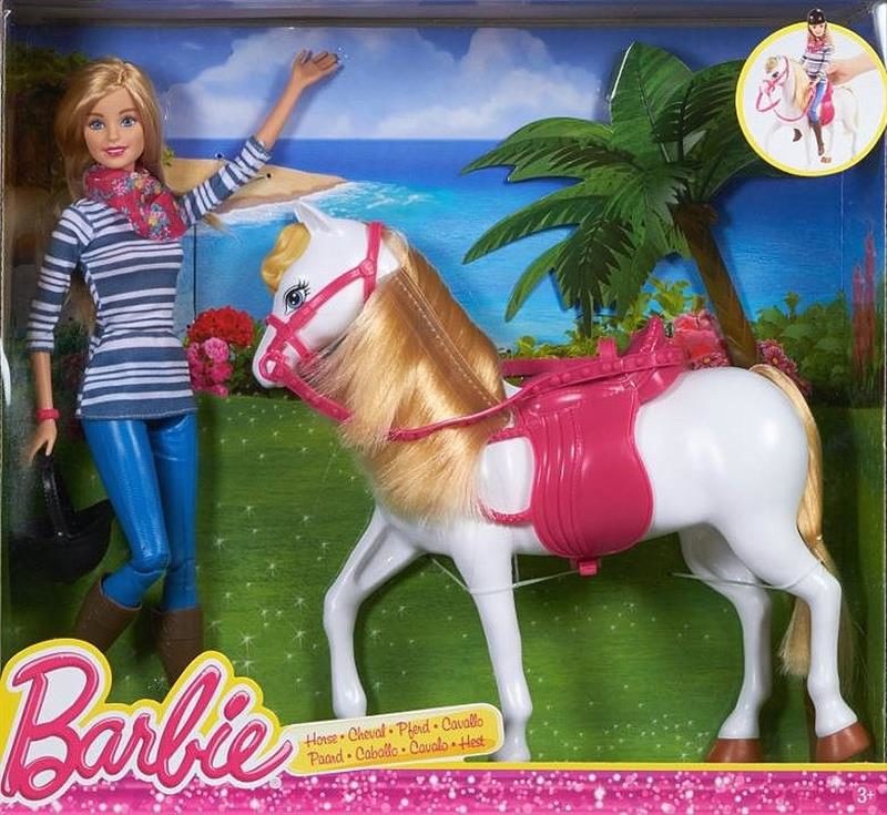 Nevelig Hubert Hudson Geologie Barbie Tawny Horse and Doll Set (#CFN42, 2015) details and value –  BarbieDB.com