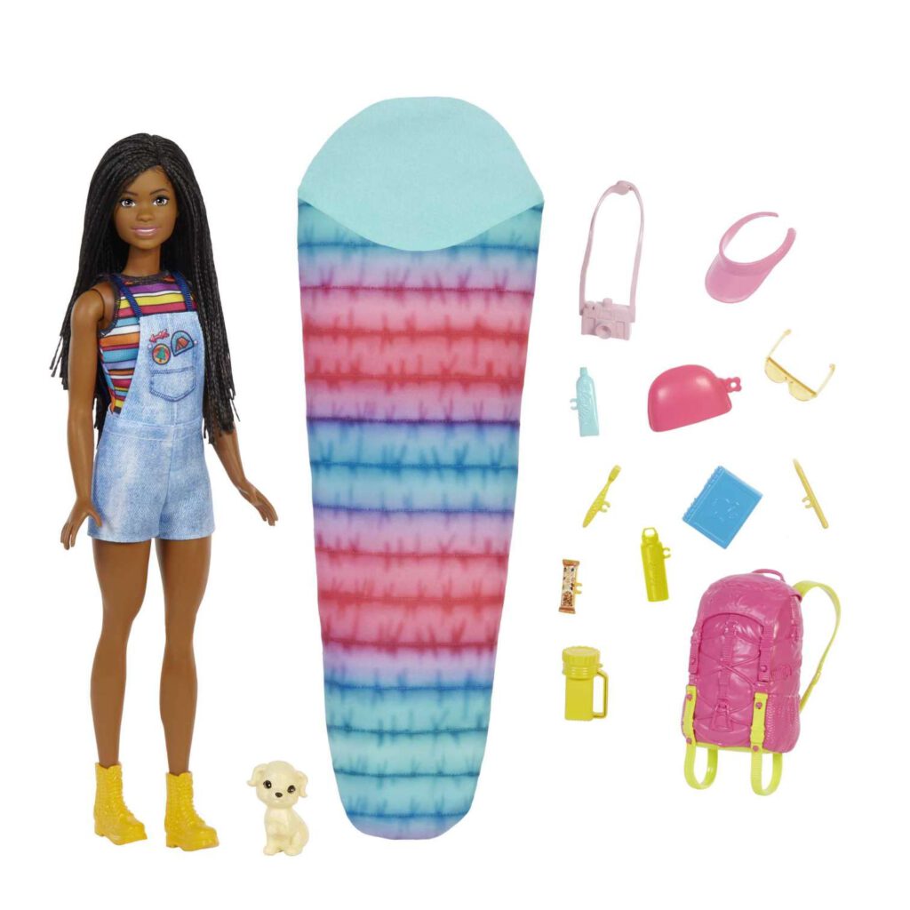 Barbie It Takes Two ‘Brooklyn’ Camping Doll